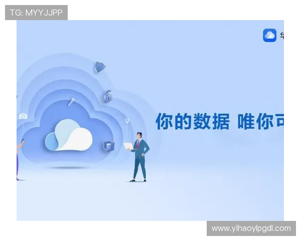 壹号app下载安装官网官方授权，保障用户权益与数据安全